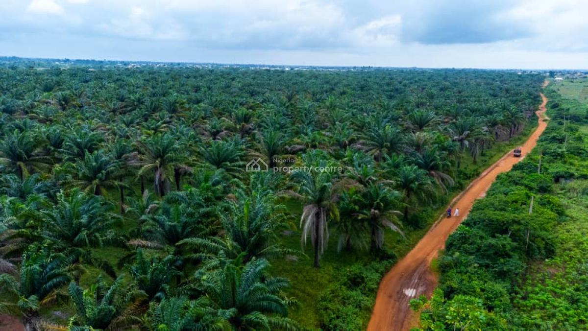 82 Acres of Land with Over 500+ Oil Palm Plantation, Agbara, Ado-odo/ota, Ogun, Mixed-use Land for Sale