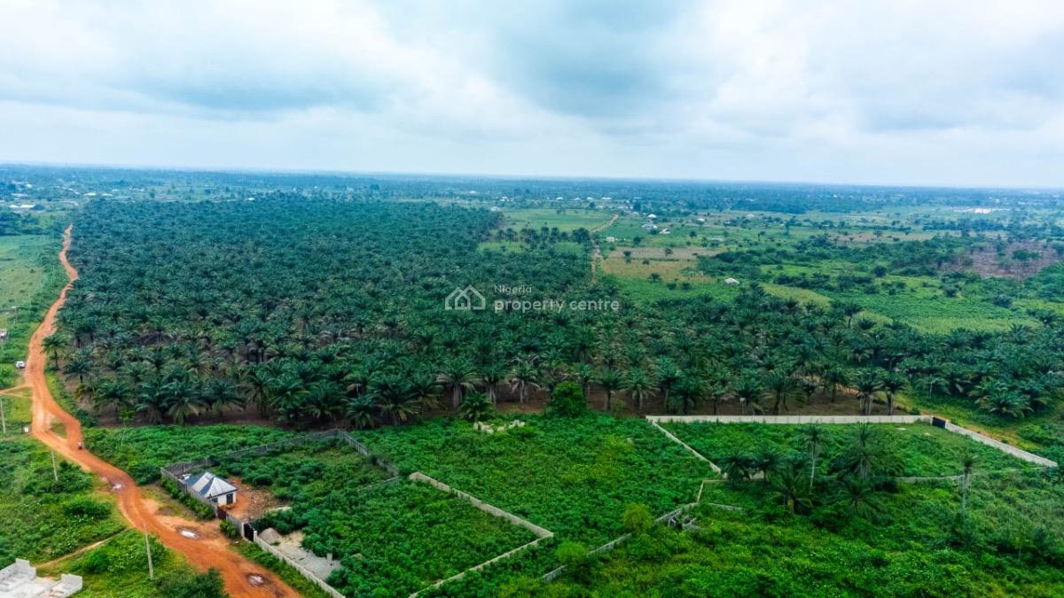 82 Acres of Land with Over 500+ Oil Palm Plantation, Agbara, Ado-odo/ota, Ogun, Mixed-use Land for Sale
