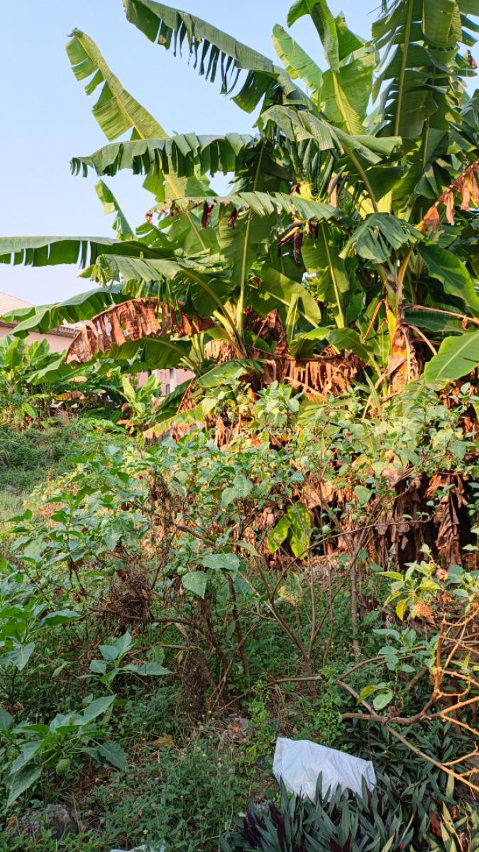 600sqm Corner Piece Land, Destiny Homes, Abijo, Lekki, Lagos, Mixed-use Land for Sale