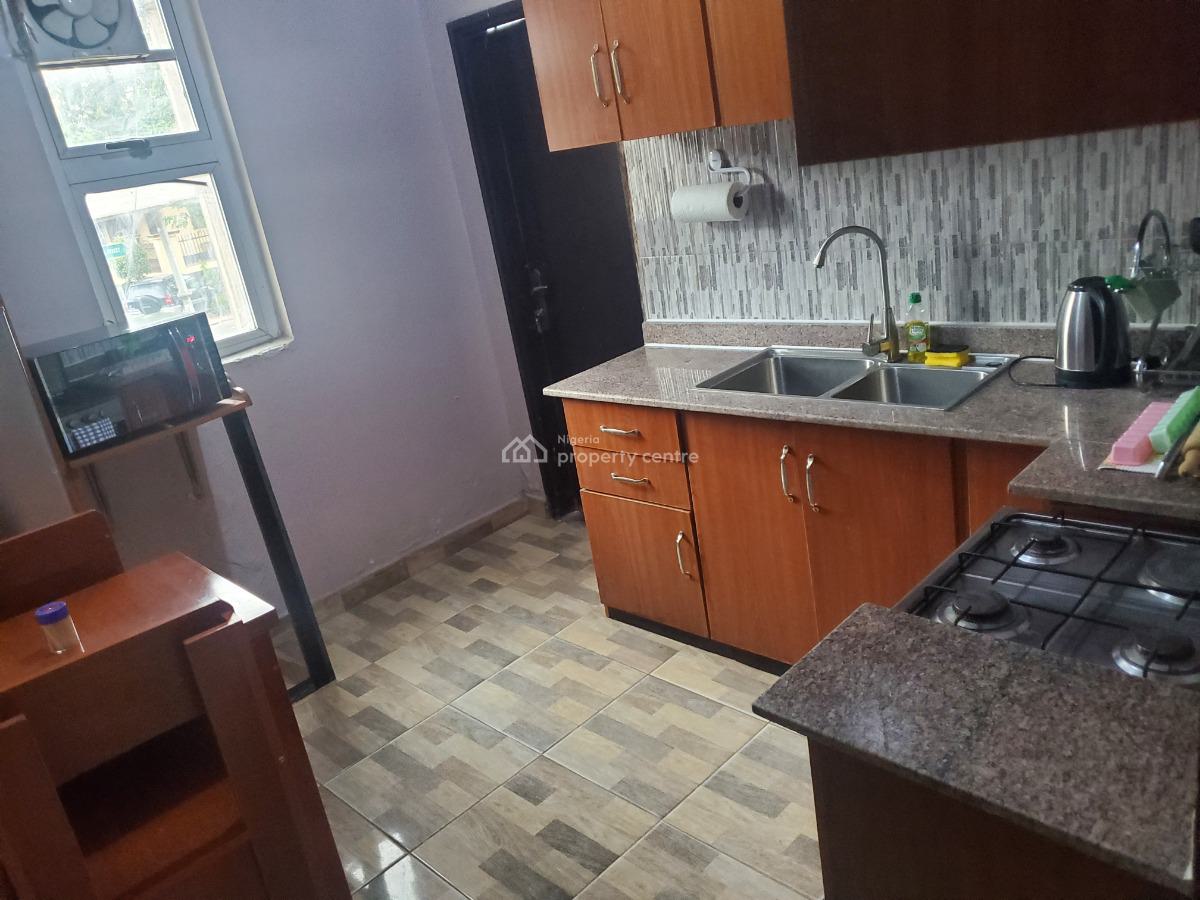 Furnished Luxury 2 Bedroom Apartment, Lusaka Street, Zone 6, Wuse, Abuja, Flat / Apartment for Rent