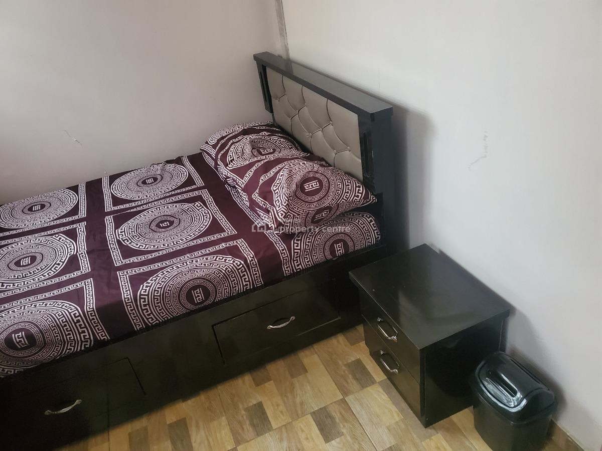 Furnished Luxury 2 Bedroom Apartment, Lusaka Street, Zone 6, Wuse, Abuja, Flat / Apartment for Rent