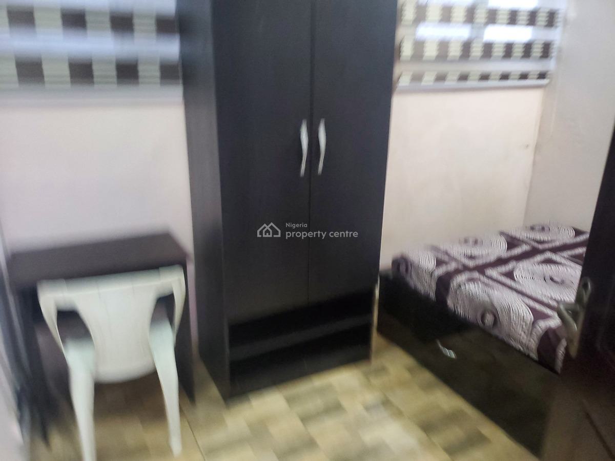 Furnished Luxury 2 Bedroom Apartment, Lusaka Street, Zone 6, Wuse, Abuja, Flat / Apartment for Rent