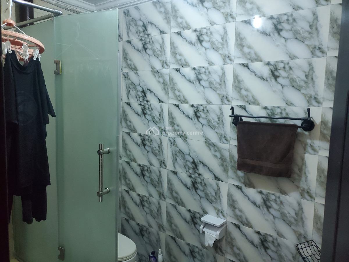 Furnished Luxury 2 Bedroom Apartment, Lusaka Street, Zone 6, Wuse, Abuja, Flat / Apartment for Rent