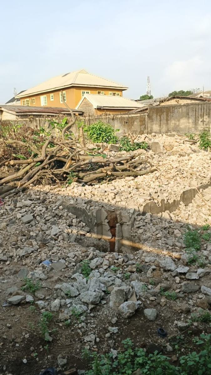 Standard Full Plots of Land, Off Ekoro Road, Abule Egba, Agege, Lagos, Residential Land for Sale