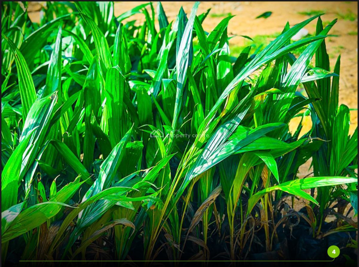 Farm Land, Abeokuta North, Ogun, Mixed-use Land for Sale