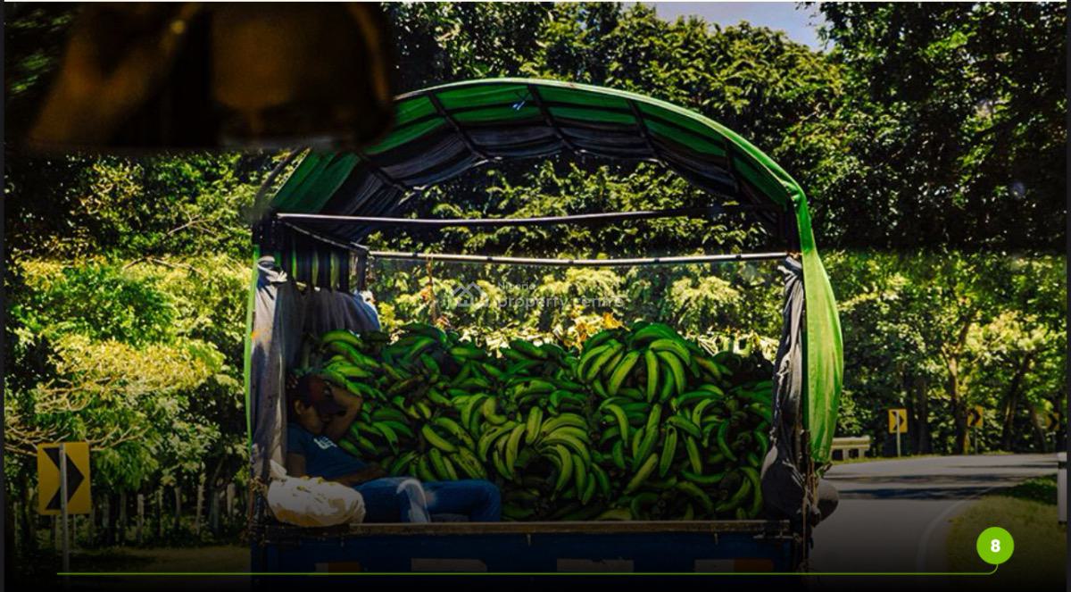 Most Affordable Hectare of Land Suitable for Several Crops, Abeokuta North, Ogun, Mixed-use Land for Sale