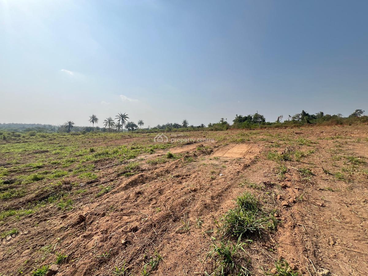 an Investment Land for Your Children to Give Them a Better Future, Odeda, Ogun, Residential Land for Sale