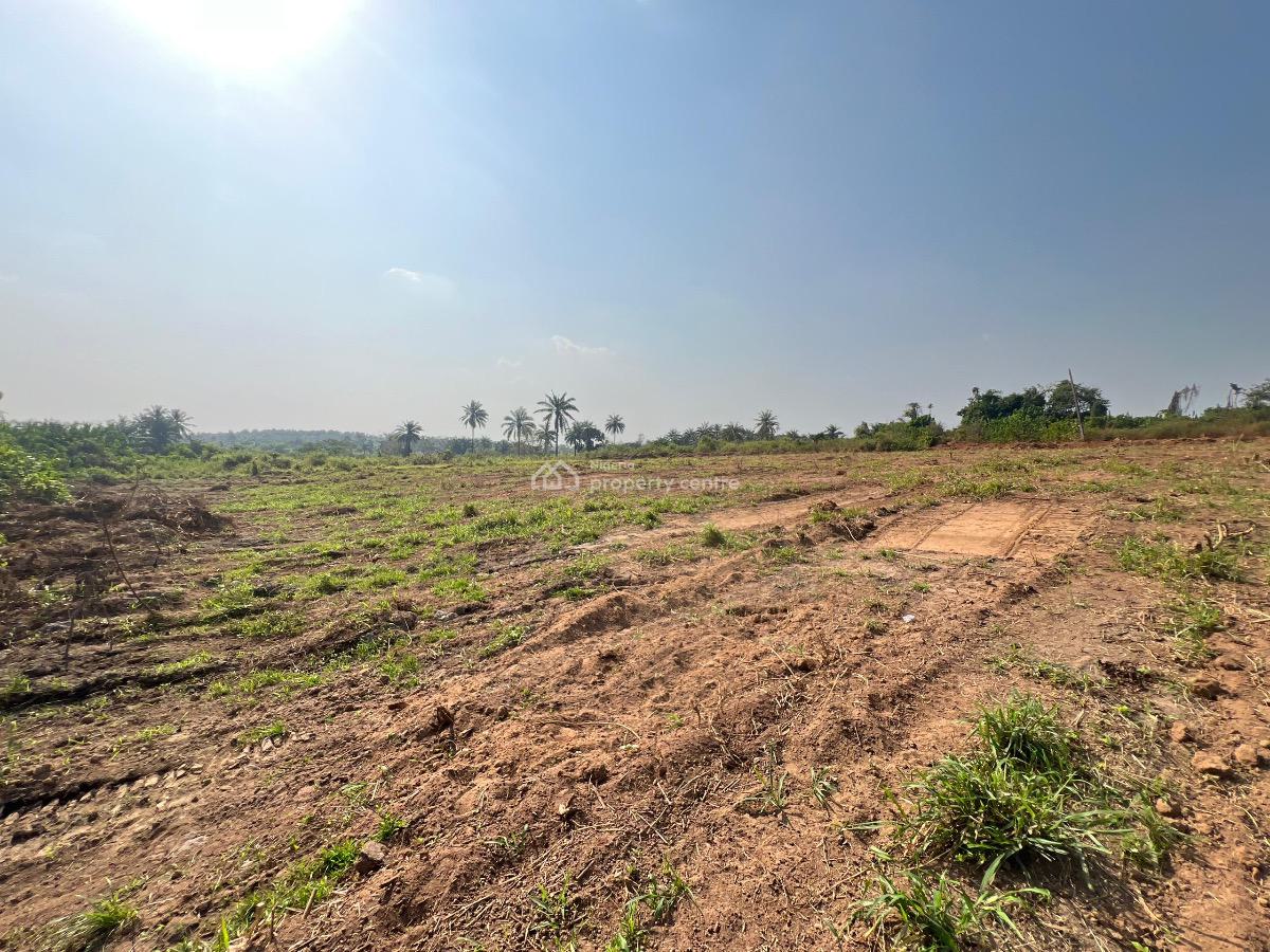 an Investment Land for Your Children to Give Them a Better Future, Odeda, Ogun, Residential Land for Sale