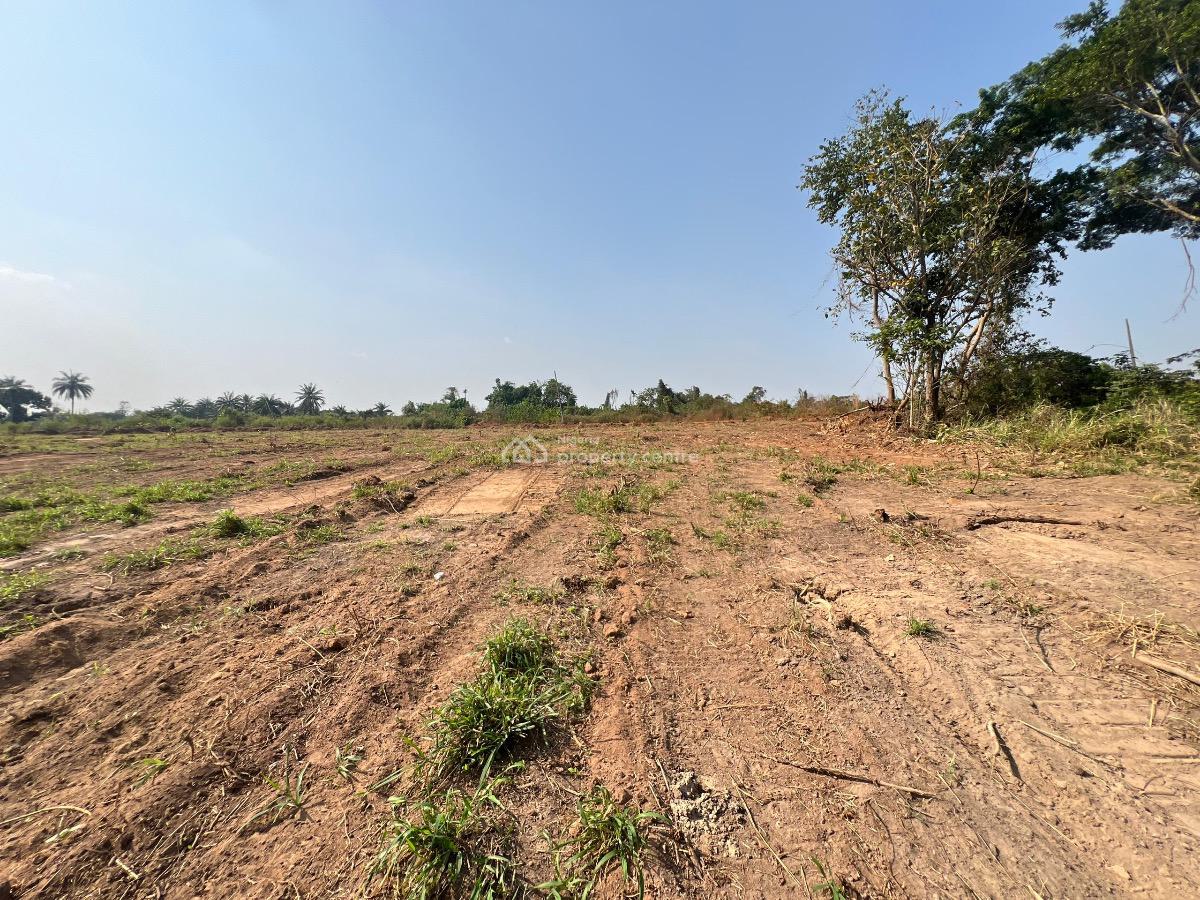 an Investment Land for Your Children to Give Them a Better Future, Odeda, Ogun, Residential Land for Sale