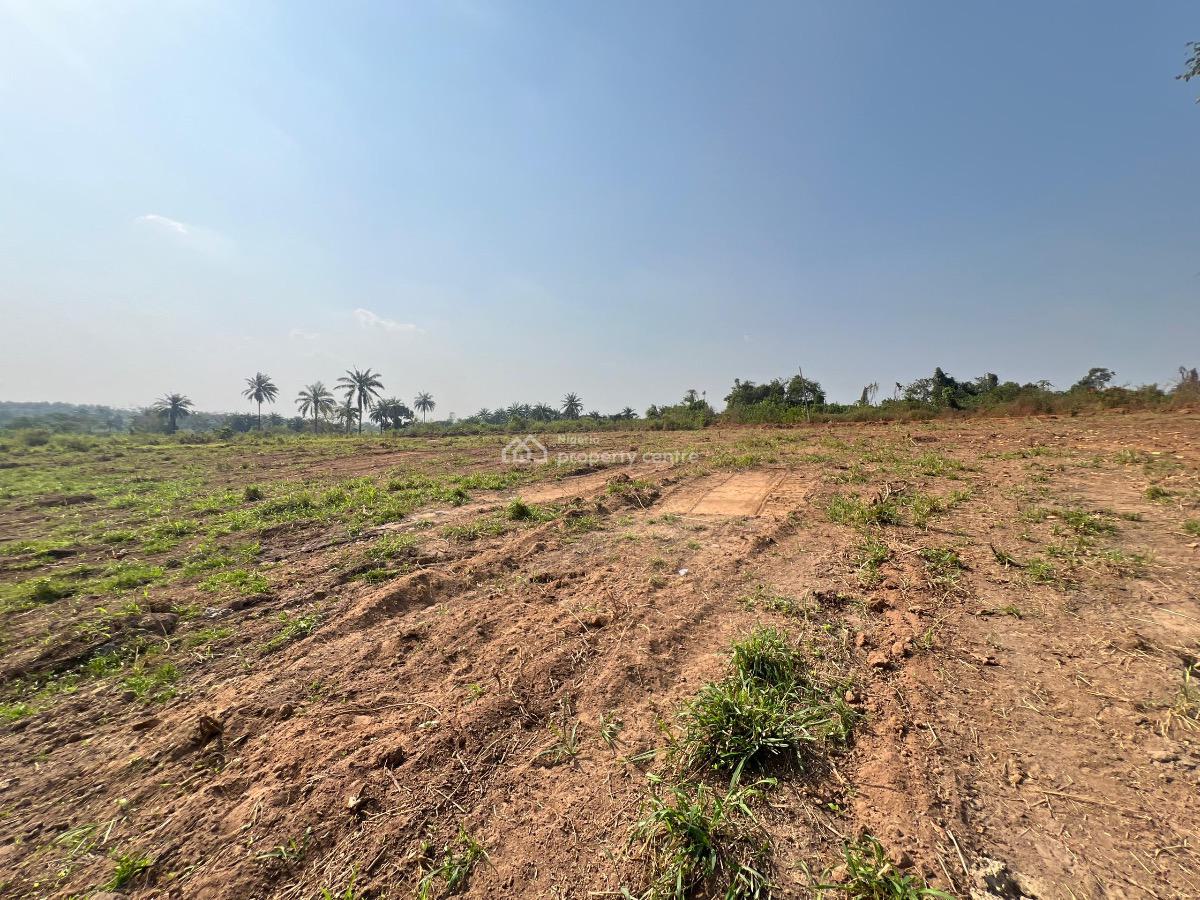 an Investment Land for Your Children to Give Them a Better Future, Odeda, Ogun, Residential Land for Sale