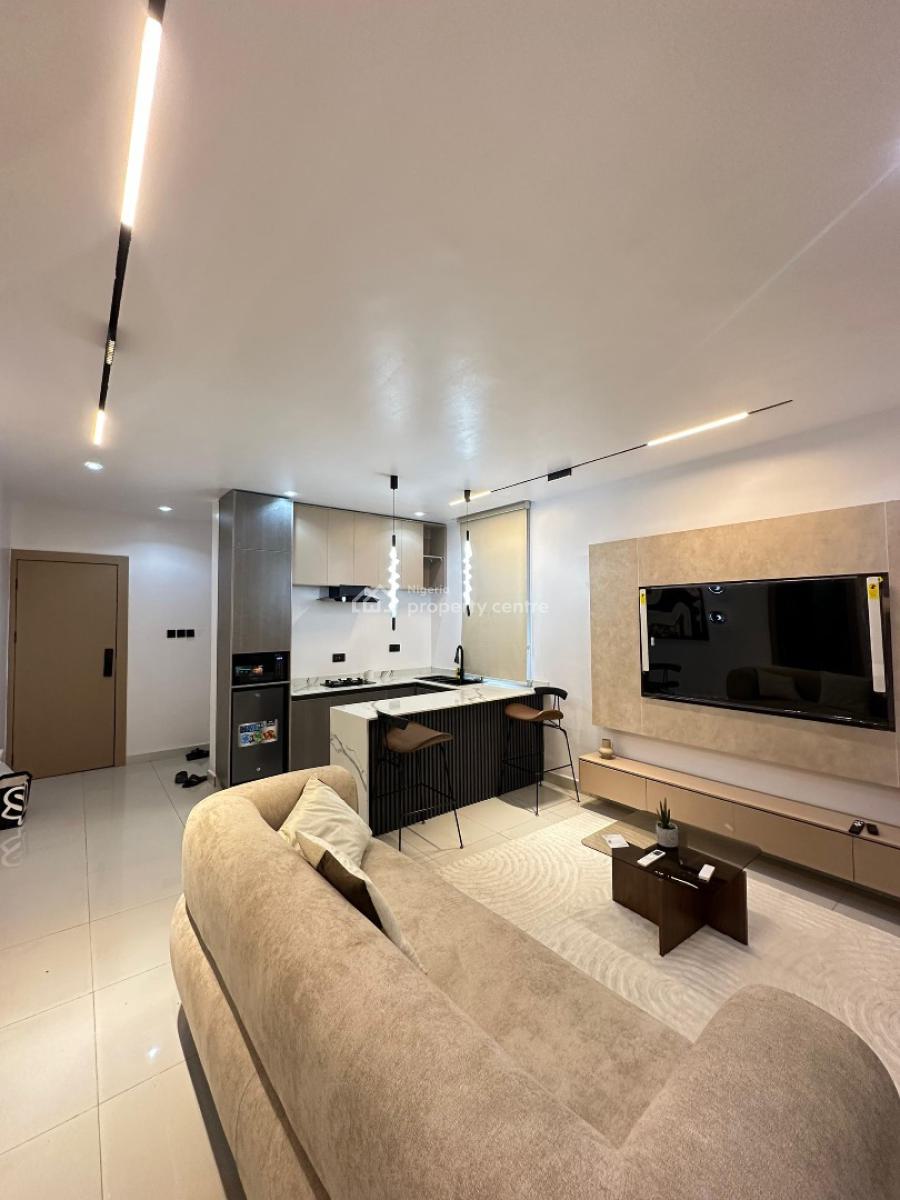 Exquisite Fully Furnished 2 Bedroom Apartment in a Serene Location, Surulere, Lagos, Flat / Apartment for Sale