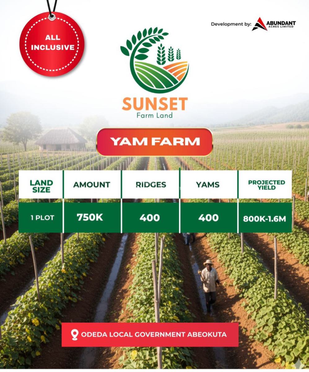 Plots of Yam Farmland on Prelaunch, Abeokuta North, Ogun, Commercial Land for Sale