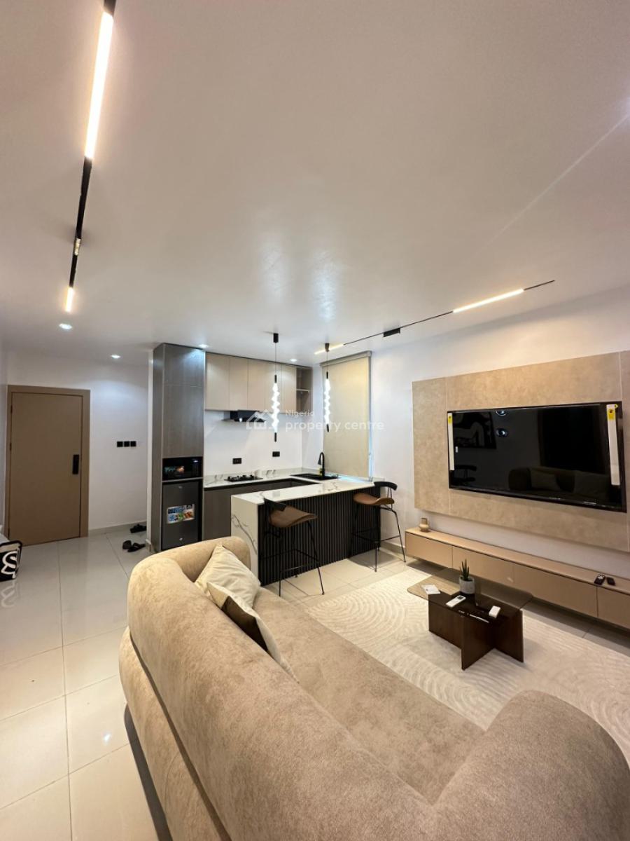 Most Affordable 2 Bedroom Fully Furnished Apartment in a Serene Place, Surulere, Lagos, Flat / Apartment for Sale