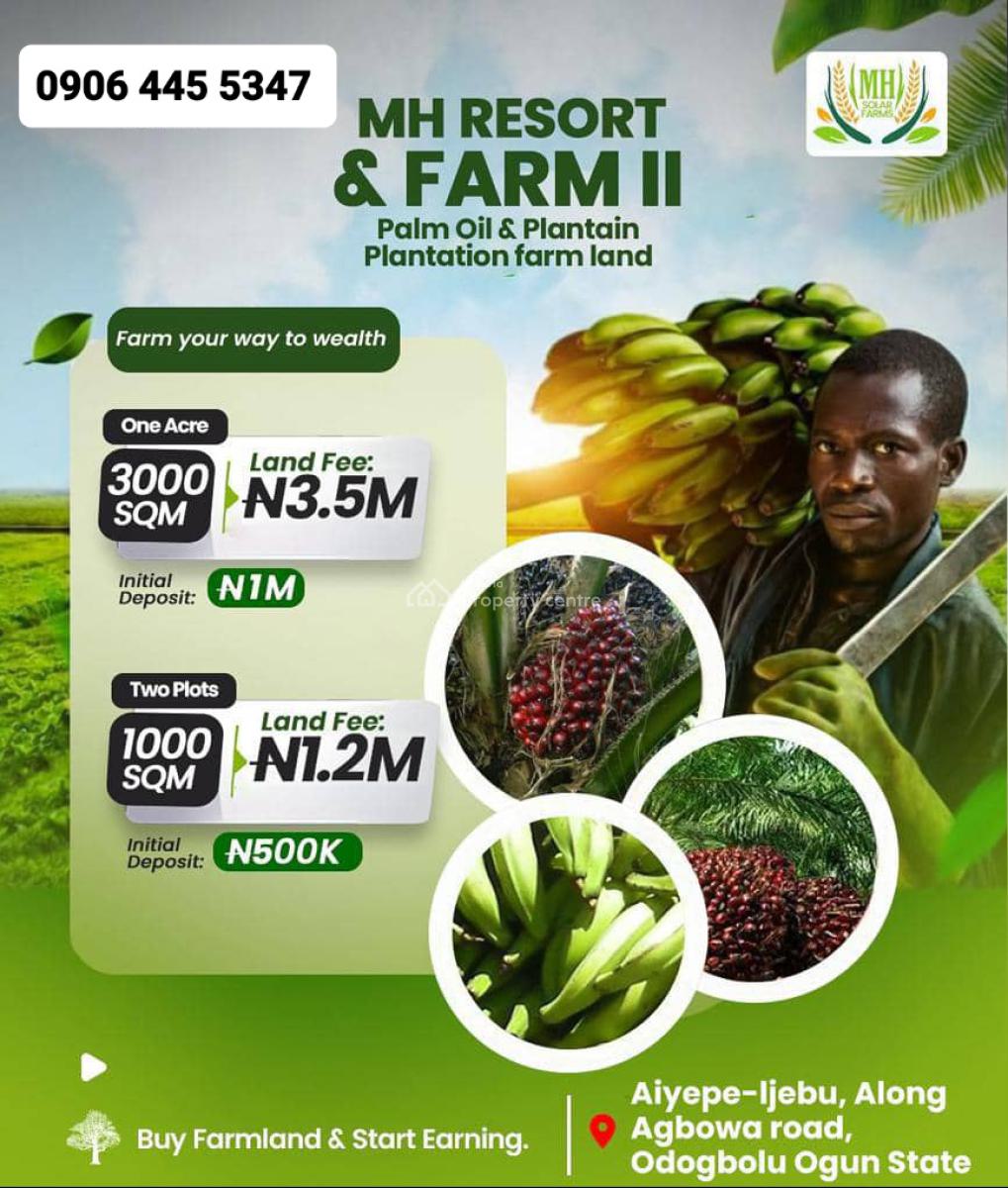 Plots & Acres of Plantain & Palm Oil Farmlands, Aiyepe-ijebu, Agbowa Road, Odogbolu, Ogun, Land for Sale