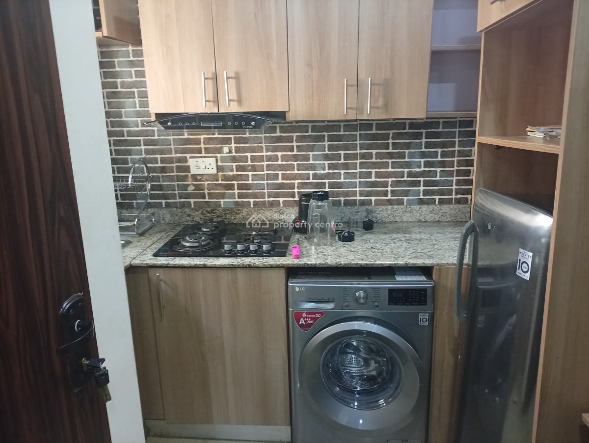 1 Bedroom Furnished and Serviced Studio Apartment, Asokoro District, Abuja, Flat / Apartment for Rent