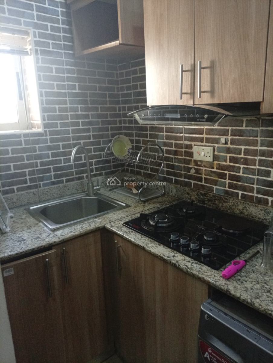 1 Bedroom Furnished and Serviced Studio Apartment, Asokoro District, Abuja, Flat / Apartment for Rent