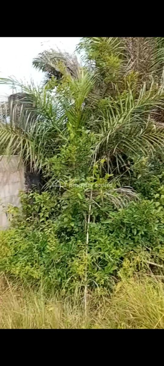 2 Acres of Beachfront Land, Solu Alade, Ibeju Lekki, Lagos, Land for Sale