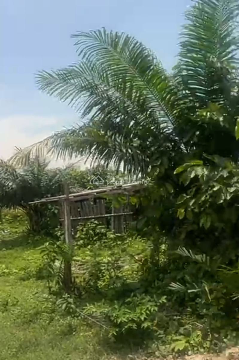 100% Dry, Gazetted,buy and Build Estate Land, White Gold Estate,lekki Free Trade Zone, Siriwon Town, Ibeju Lekki, Lagos, Mixed-use Land for Sale