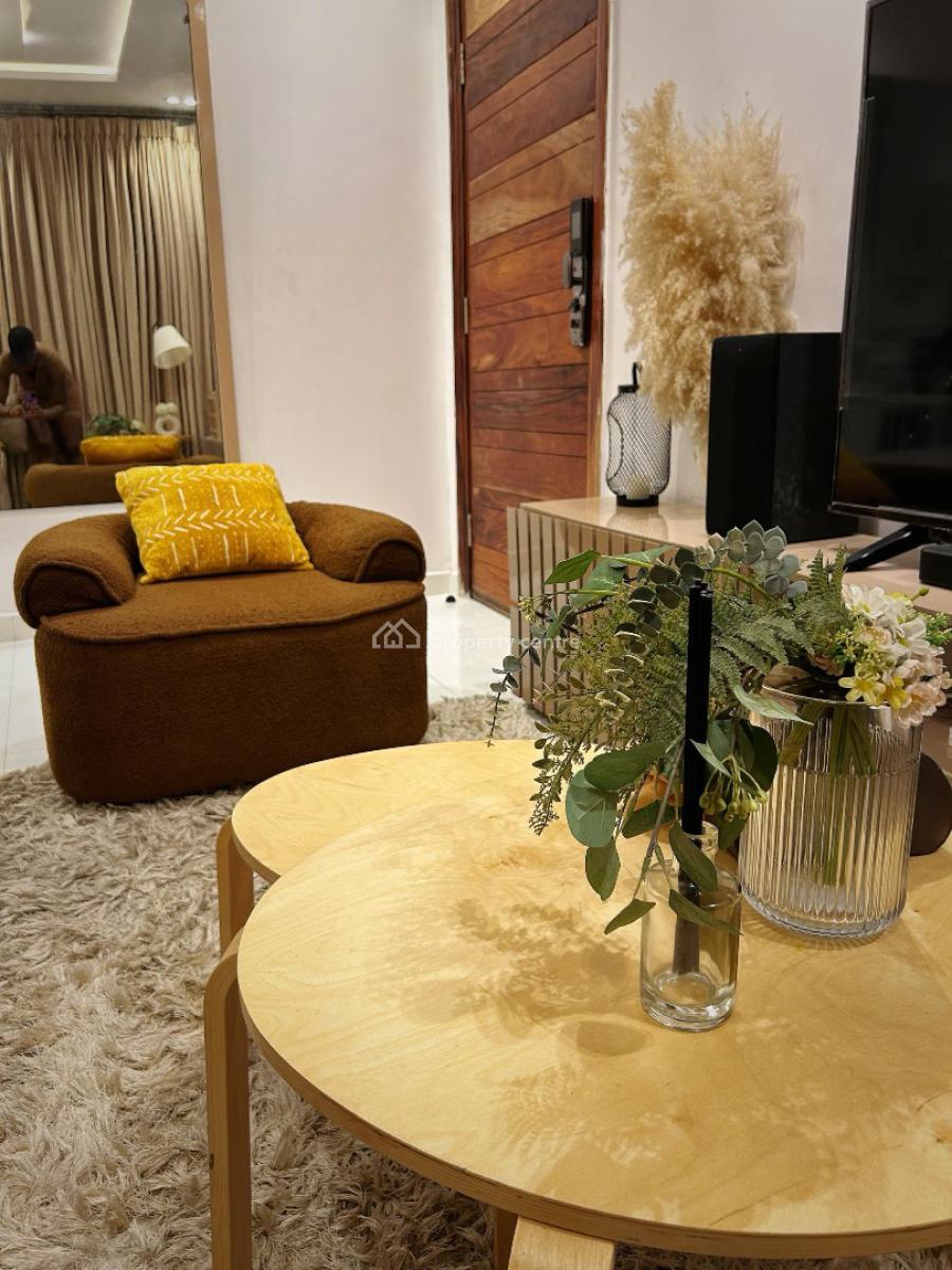 Luxury Furnished 2 Bedroom Flat, Orji Murray Street, Ikate, Lekki, Lagos, Flat / Apartment for Sale