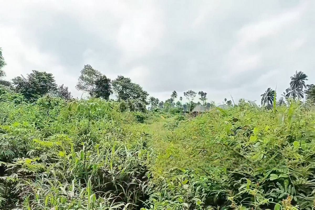 4 Plots of Land, Obirikwerre Airport Road, Port Harcourt, Rivers, Mixed-use Land for Sale