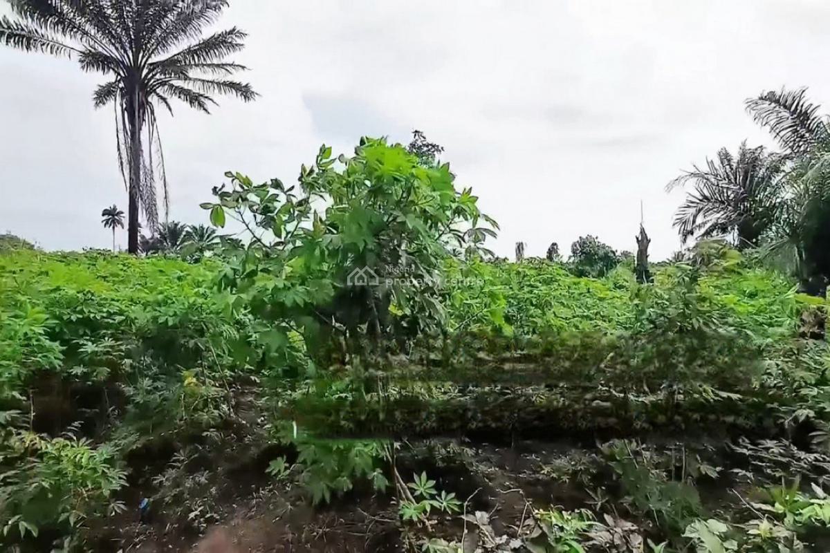 4 Plots of Land, Obirikwerre Airport Road, Port Harcourt, Rivers, Mixed-use Land for Sale