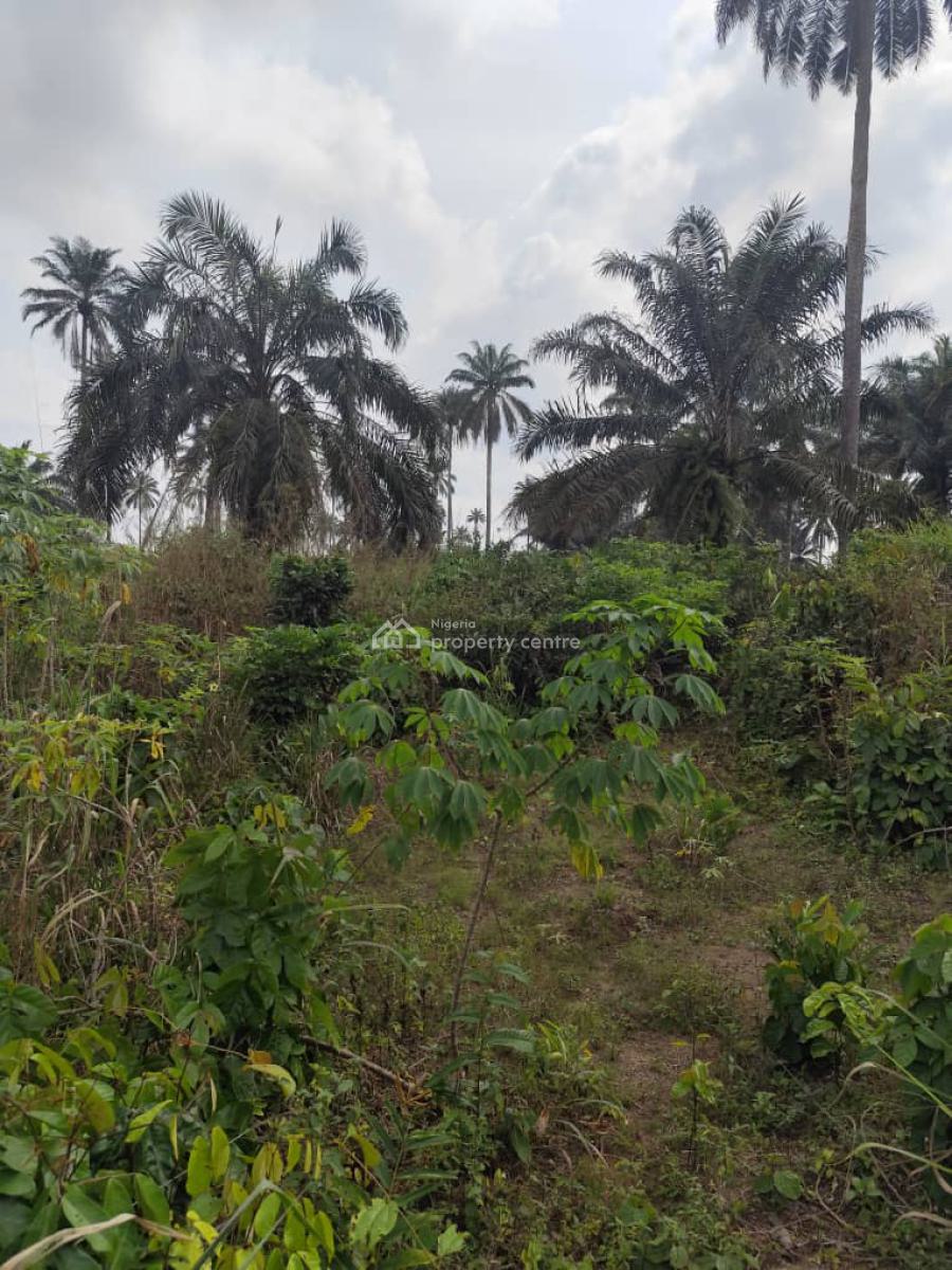 a Parcel of Bare Land, Airport Road, Uyo, Akwa Ibom, Mixed-use Land for Sale