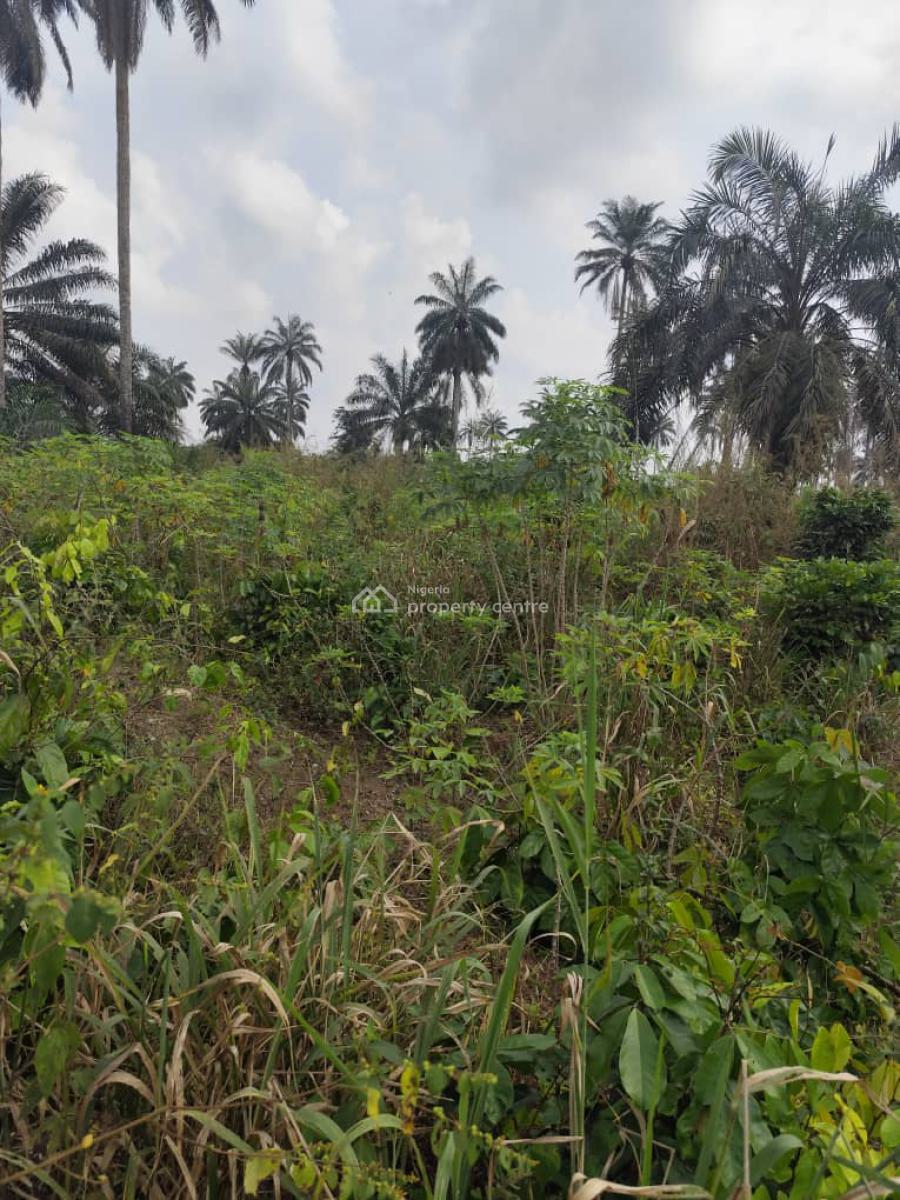 a Parcel of Bare Land, Airport Road, Uyo, Akwa Ibom, Mixed-use Land for Sale