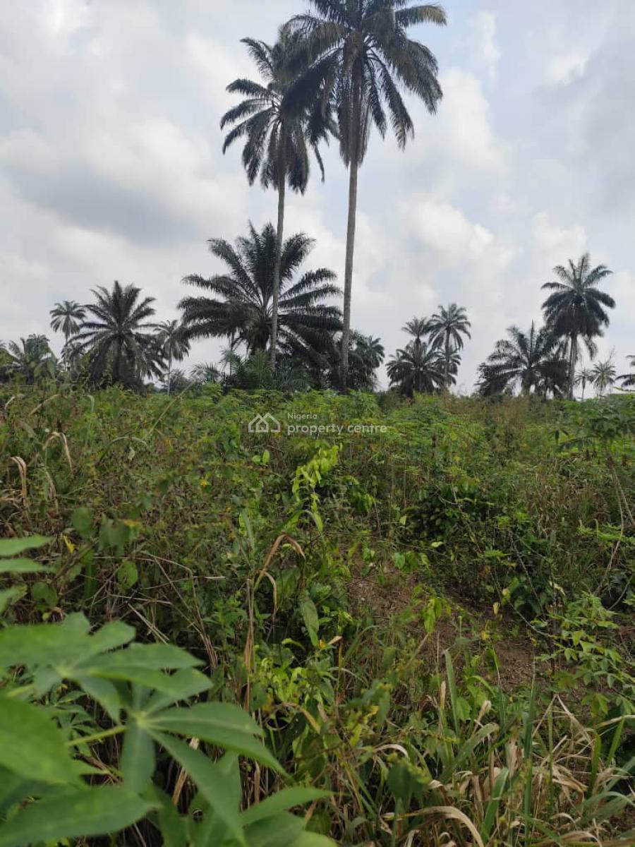 a Parcel of Bare Land, Airport Road, Uyo, Akwa Ibom, Mixed-use Land for Sale