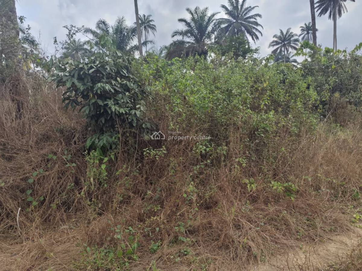 a Plot of Land, Airport Road, Uyo, Akwa Ibom, Mixed-use Land for Sale