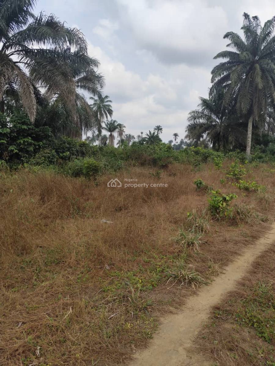 a Plot of Land, Airport Road, Uyo, Akwa Ibom, Mixed-use Land for Sale
