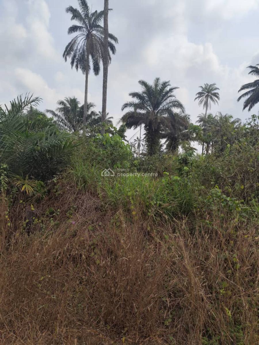 a Plot of Land, Airport Road, Uyo, Akwa Ibom, Mixed-use Land for Sale