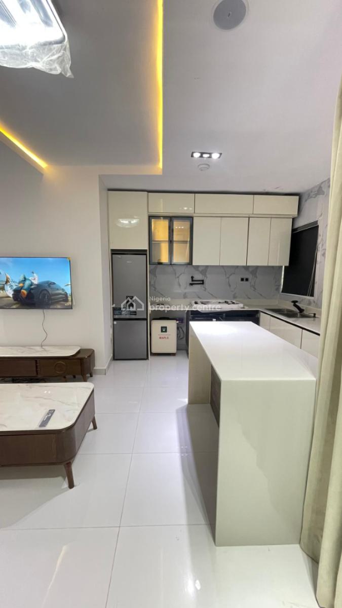 Spacious Luxury 1 Bedroom   Apartment, Lekki Phase 1, Lekki, Lagos, Mini Flat (room and Parlour) for Sale