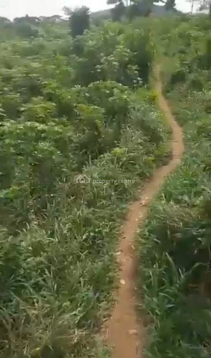 Bare Land Measuring 20 Acres, Lagos/ibadan Express Road After British -american Tobacco Company, Ojoo, Ibadan, Oyo, Mixed-use Land for Sale