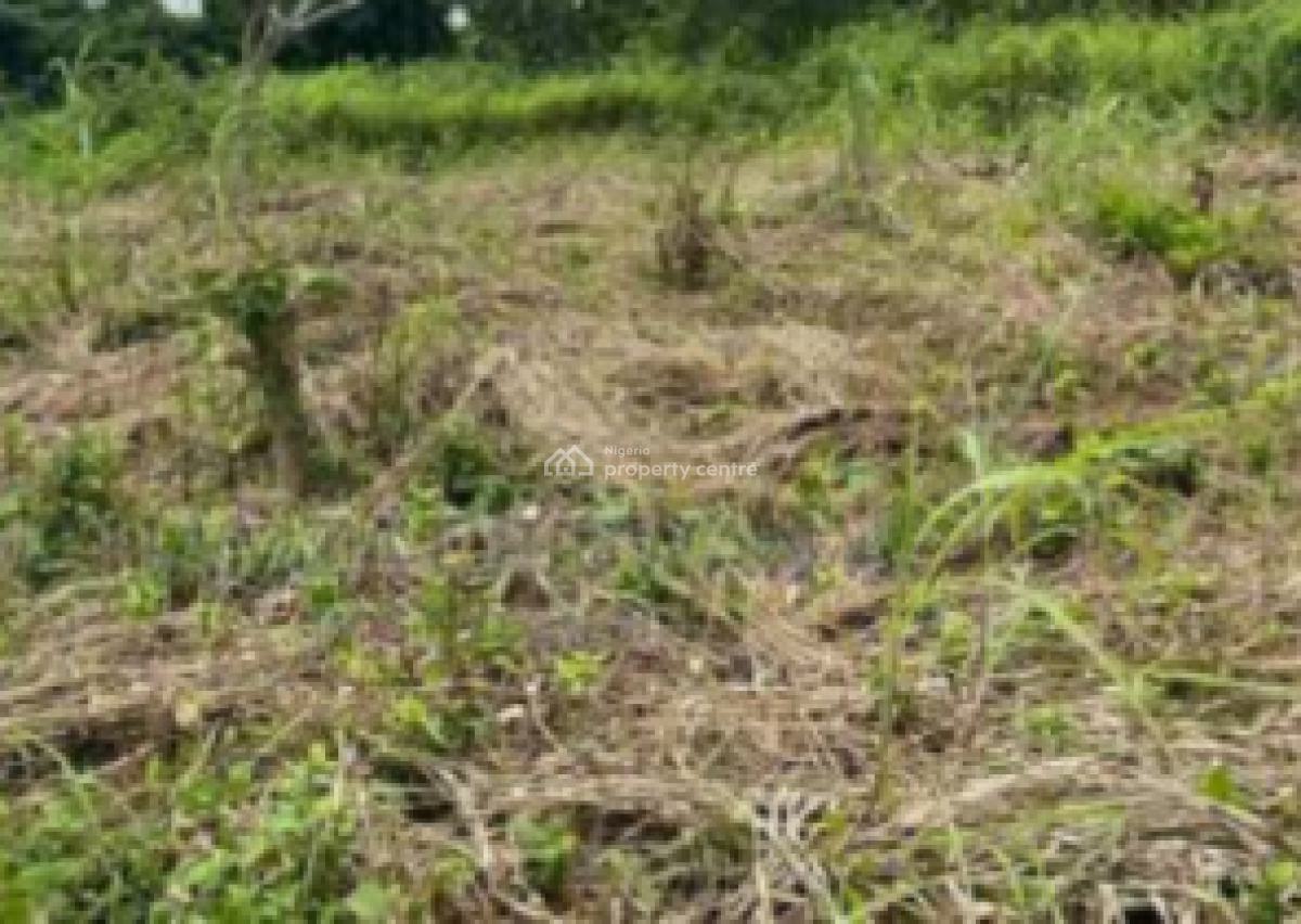 500sqm Cornerpiece Bare Land, Banana Island, Ikoyi, Lagos, Residential Land for Sale