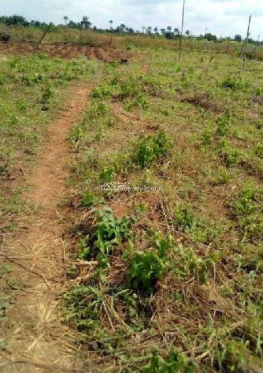 Strategically Located 5000sqm Bareland, Freedom Way, Ikate, Lekki, Lagos, Residential Land for Sale