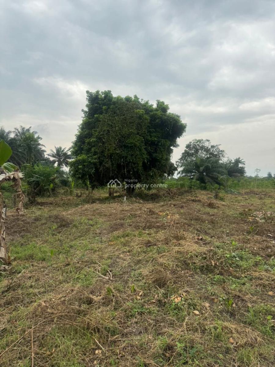 Affordable Farm Land and Resort in a Serene Environment, Ogun State, Aiyepe-ijebu, Along Agbowa Road, Ogun State, Ijebu East, Ogun, Commercial Land for Sale