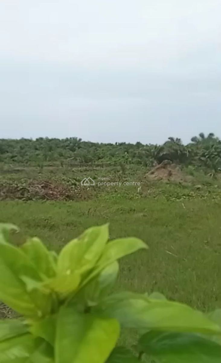 Land Measuring 25 Hectares, Behind Greenspring School, Awoyaya, Ibeju Lekki, Lagos, Mixed-use Land for Sale