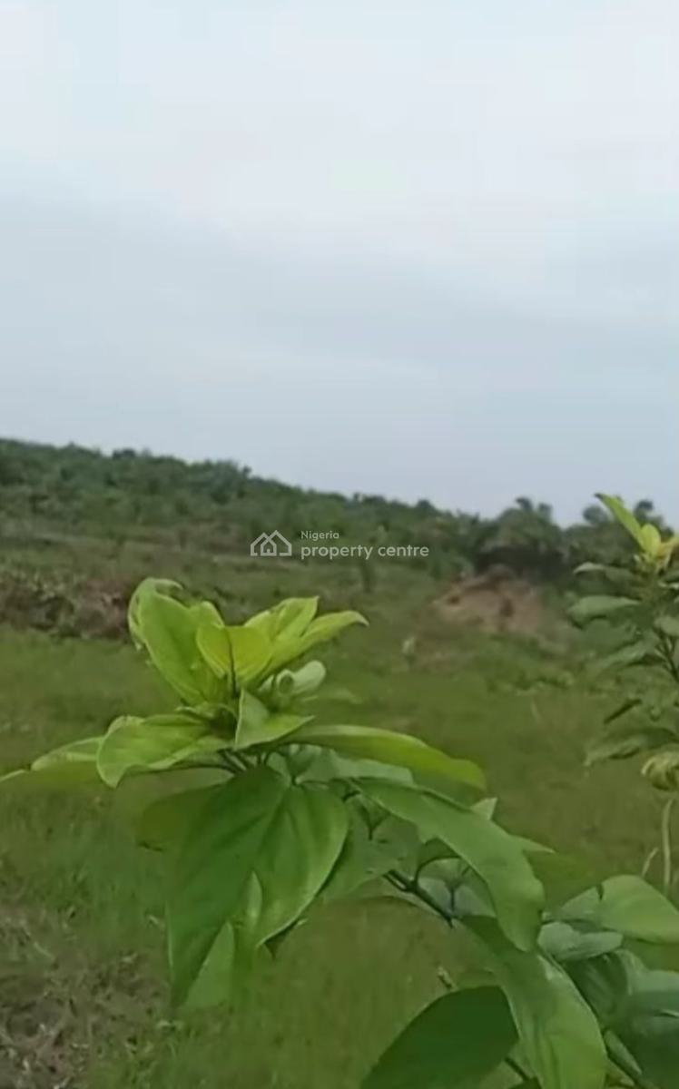 Land Measuring 25 Hectares, Behind Greenspring School, Awoyaya, Ibeju Lekki, Lagos, Mixed-use Land for Sale