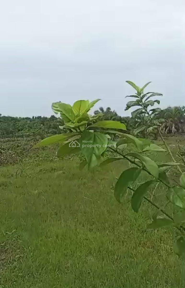Land Measuring 25 Hectares, Behind Greenspring School, Awoyaya, Ibeju Lekki, Lagos, Mixed-use Land for Sale