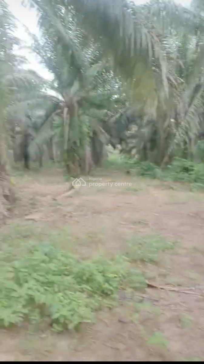 5000 Acres of Farm Land with Palm Trees Plantation, Ijebu Ode, Ogun, Industrial Land for Sale
