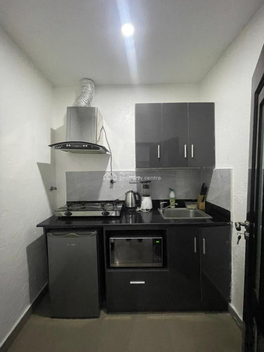 Luxuriously Furnished 1 Bedroom in a Serene Location, Victoria Island (vi), Lagos, Mini Flat (room and Parlour) for Rent