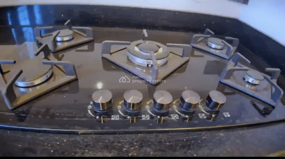 Exquisitely Built 4 Bedroom + Bq, Naf Valley, Asokoro District, Abuja, Terraced Duplex for Sale