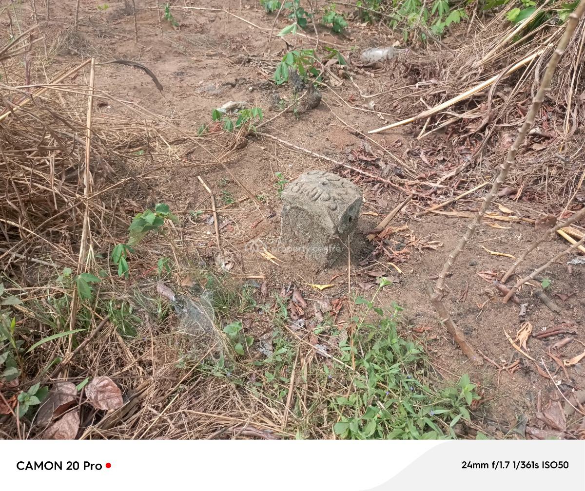 One Full Plot of Land with Fenced Advantage, Avu By The, Missionary School Close to White House, Owerri Municipal, Imo, Residential Land for Sale