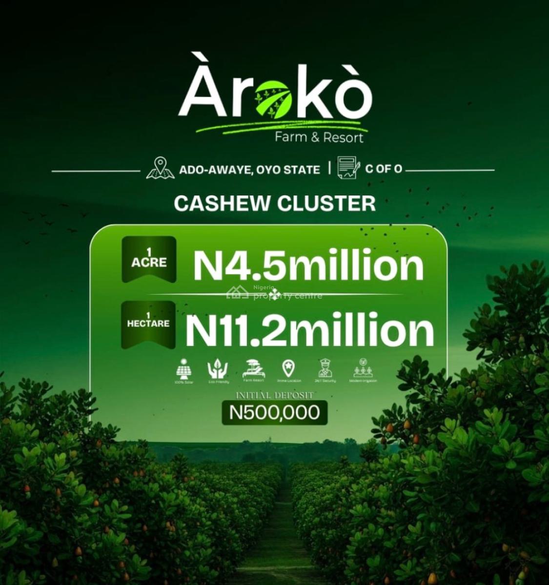 Cashew Cluster, Aroko Farm Ado Awaye, Ibadan, Oyo, Commercial Land for Sale