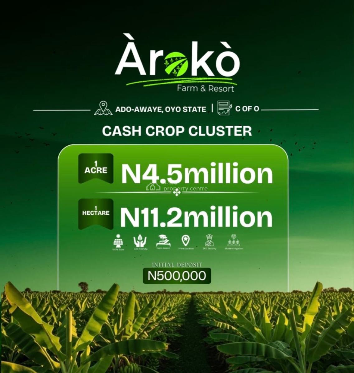 Cash Crop Cluster, Aroko Farm Ado Awaye, Ibadan, Oyo, Commercial Land for Sale