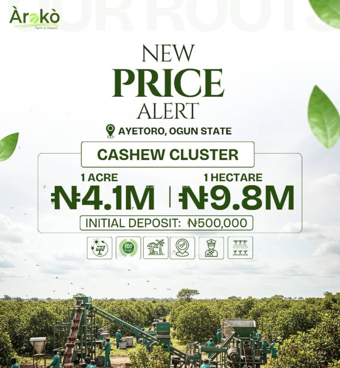 Cashew Cluster, Aroko Farm Ayetoro, Ewekoro, Ogun, Commercial Land for Sale