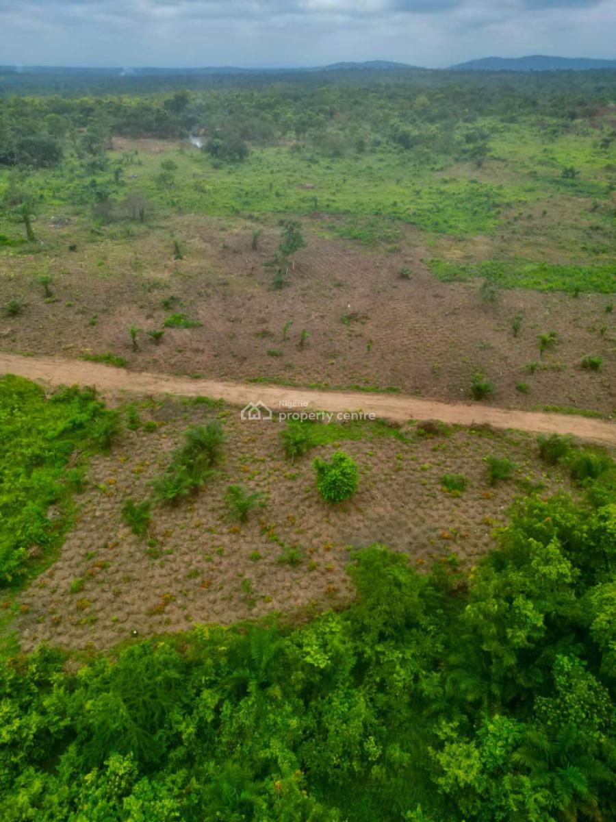 Most Profitable Farm Land of The Day, Alabata , Buy 5 Plots Get 1 Plot Free and We Can Also Farm for You, Abeokuta North, Ogun, Commercial Land for Sale