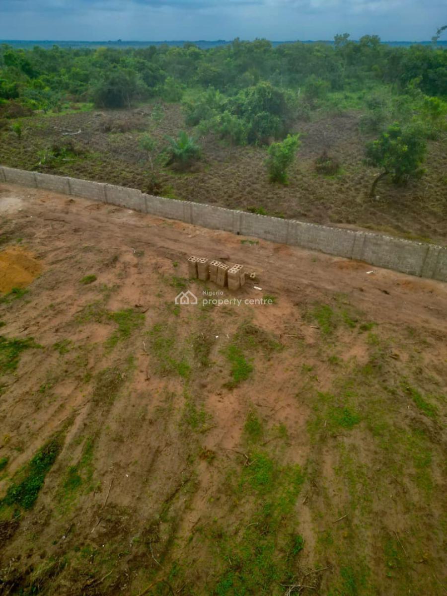 Most Profitable Farm Land of The Day, Alabata , Buy 5 Plots Get 1 Plot Free and We Can Also Farm for You, Abeokuta North, Ogun, Commercial Land for Sale