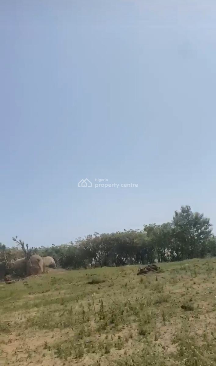 Estate Lands Available in Katampe Extension, 200sqm to 500sqm, Behind Zeberced, Katampe Extension, Katampe, Abuja, Residential Land for Sale