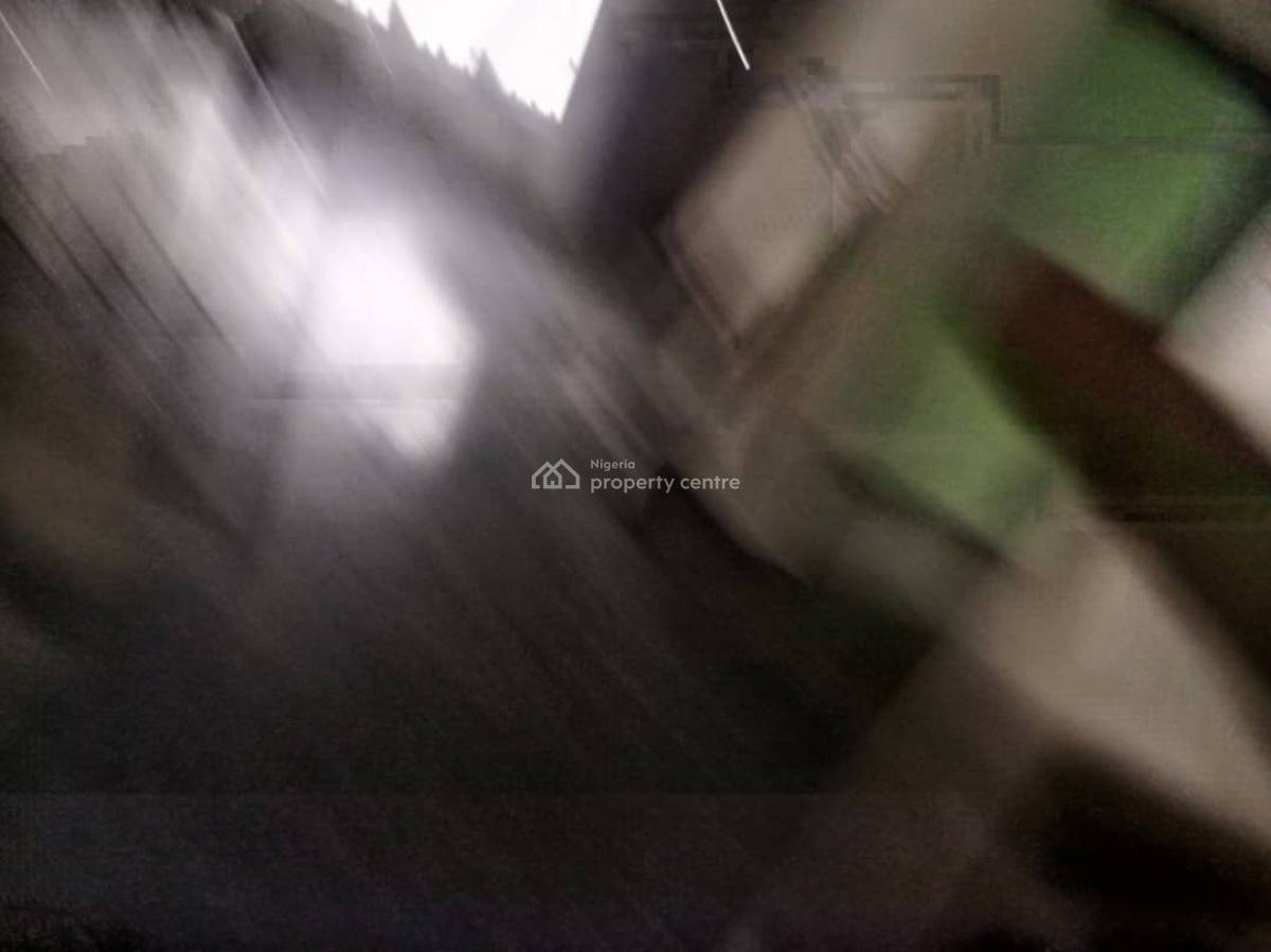 Tastfully Finish 5 Bedroom Fully Detached Duplex +bq, Ikeja Gra, Ikeja, Lagos, Detached Duplex for Rent